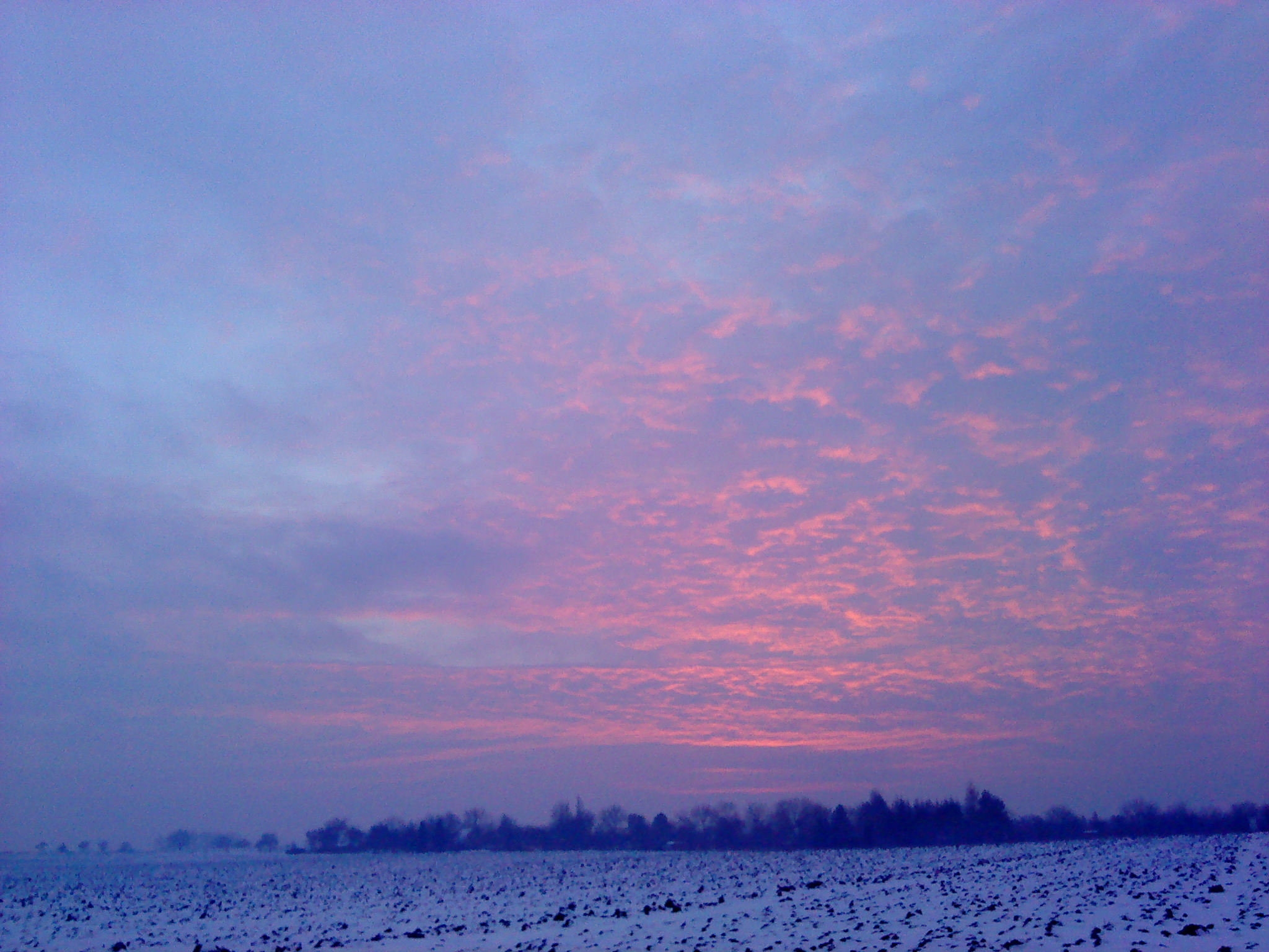 DSC00212